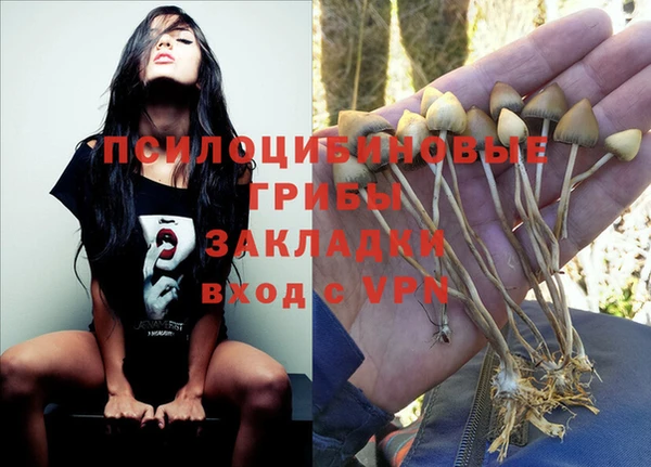 бутират Домодедово